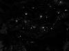 <img100*0:stuff/z/179797/Holiday%2520Reference%2520Photos%25202%2520/100_1554.jpg>