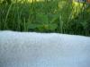 <img100*0:stuff/z/179797/Oh%252c%2520for%2520the%2520Love%2520of%2520Green%2521/1.jpg>