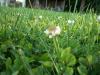 <img100*0:stuff/z/179797/Oh%252c%2520for%2520the%2520Love%2520of%2520Green%2521/10.jpg>
