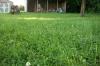 <img100*0:stuff/z/179797/Oh%252c%2520for%2520the%2520Love%2520of%2520Green%2521/15.jpg>