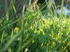 <img100*0:stuff/z/179797/Oh%252c%2520for%2520the%2520Love%2520of%2520Green%2521/19.jpg>