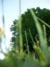 <img100*0:stuff/z/179797/Oh%252c%2520for%2520the%2520Love%2520of%2520Green%2521/25.jpg>