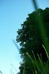 <img100*0:stuff/z/179797/Oh%252c%2520for%2520the%2520Love%2520of%2520Green%2521/26.jpg>