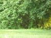 <img100*0:stuff/z/179797/Oh%252c%2520for%2520the%2520Love%2520of%2520Green%2521/28.jpg>