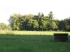 <img100*0:stuff/z/179797/Oh%252c%2520for%2520the%2520Love%2520of%2520Green%2521/33.jpg>