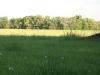 <img100*0:stuff/z/179797/Oh%252c%2520for%2520the%2520Love%2520of%2520Green%2521/34.jpg>
