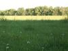 <img100*0:stuff/z/179797/Oh%252c%2520for%2520the%2520Love%2520of%2520Green%2521/35.jpg>