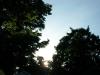 <img100*0:stuff/z/179797/Oh%252c%2520for%2520the%2520Love%2520of%2520Green%2521/50.jpg>