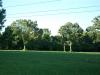 <img100*0:stuff/z/179797/Oh%252c%2520for%2520the%2520Love%2520of%2520Green%2521/51.jpg>
