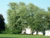 <img100*0:stuff/z/179797/Oh%252c%2520for%2520the%2520Love%2520of%2520Green%2521/52.jpg>