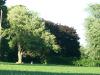 <img100*0:stuff/z/179797/Oh%252c%2520for%2520the%2520Love%2520of%2520Green%2521/53.jpg>