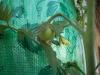 <img100*0:stuff/z/179797/Oh%252c%2520for%2520the%2520Love%2520of%2520Green%2521/62.jpg>