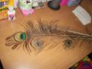 <img0*100:stuff/z/179797/Peacock%2520Feather%2520Photos/100_3567.jpg>
