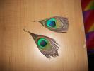 <img0*100:stuff/z/179797/Peacock%2520Feather%2520Photos/100_3569.jpg>