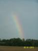 <img0*100:stuff/z/179797/Rainbow%2520Photos/12.jpg>