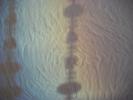 Rainbow Photos