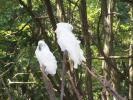 <img0*100:stuff/z/179797/Zoo%2520Animal%2520Photos%25202/10.jpg>