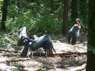 <img0*100:http://elftown.heddate.com/stuff/z/179797/Zoo%2520Animal%2520Photos%25202/23.jpg>