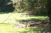 <img100*0:stuff/z/179797/Zoo%2520Animal%2520Photos/100_0142.jpg>