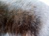 <img100*0:stuff/z/180034/H3pic/cinfur1.jpg>