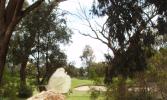 <img0*100:stuff/z/180034/h3snatureimages/butterfly1close.jpg>