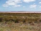 <img0*100:stuff/z/180034/h3snatureimages/desert.JPG>