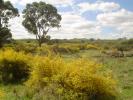 <img0*100:stuff/z/180034/h3snaturepics2/DSC02359.JPG>