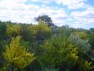 <img0*100:stuff/z/180034/h3snaturepics2/DSC02360.JPG>