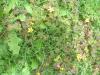 <img100*0:stuff/z/180034/h3snaturepics2/DSC02546.JPG>