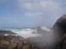 <img0*100:stuff/z/180034/h3snaturepics2/DSC02866.JPG>