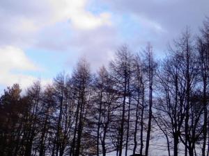 <img300*0:stuff/z/180185/Xx-outside-xX/Photo-0027.jpg>