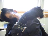 <img200*0:stuff/z/180329/TheMissingPhoto/i1166402858_3.jpg>