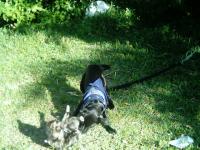 <img200*0:stuff/z/180329/TheMissingPhoto/i1166402858_5.jpg>
