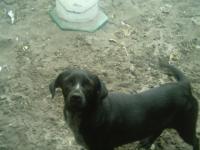 <img200*0:stuff/z/180329/TheMissingPhoto/i1166402858_8.jpg>