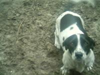 <img200*0:stuff/z/180329/TheMissingPhoto/i1166402858_9.jpg>