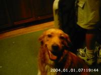 <img200*0:stuff/z/180371/pets%2520i%2520luv%2520them/i1174615136_1.jpg>