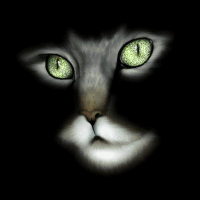 <img200*0:stuff/z/180522/HowDoIDoThis/i1175898958_2.gif>