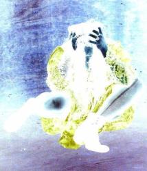 <img0*250:stuff/z/180752/kira%2527s%2520art/i1207208188_1.jpg>