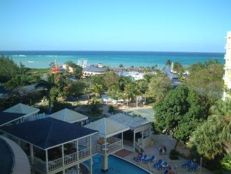 <img0*250:stuff/z/181378/Jamaica/2008%2002%2019%20Jamaica%20002.JPG>