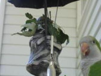 <img0*250:stuff/z/182062/i%2520know%2520im%2520crazy%2520/i1172812814_8.jpg>