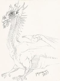 <img200*0:stuff/z/182184/DragonforgeJax/i1173125386_1.jpg>