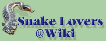 <img:stuff/z/182229/grims%2520pic%2520storage/i1179321428_1.jpg>