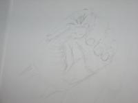 <img200*0:stuff/z/182323/uplad%2520stuff/IMG_0270.jpg>