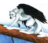 <img200*0:stuff/z/182344/Airin_angel/i1188301364_1.jpg>