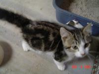 <img200*0:stuff/z/182344/Airin_angel/i1188301364_24.jpg>