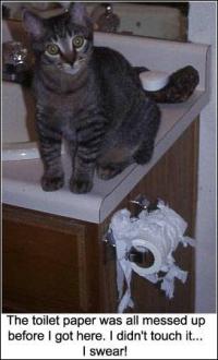 <img200*0:stuff/z/182344/Airin_angel/i1188301364_25.jpg>