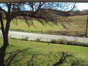<img300*0:stuff/z/182611/Colorful%2520Trees%2520and%2520Leaves/i1287865803_17.jpg>