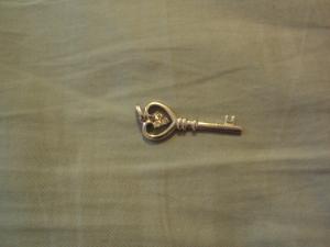 <img300*0:stuff/z/182611/wfmjewelryref/i1372353284_6.jpg>