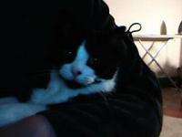 <img200*0:stuff/z/183134/Lookit%2520my%2520babies(pets)/i1180146838_4.jpg>