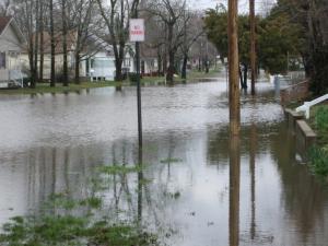 <img300*0:stuff/z/183174/City%2520Underwater/JC%27s%20Camera%20010.jpg>